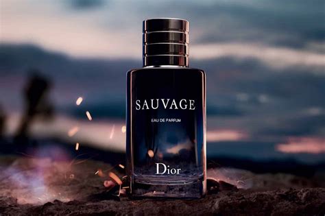 dior sauvage products